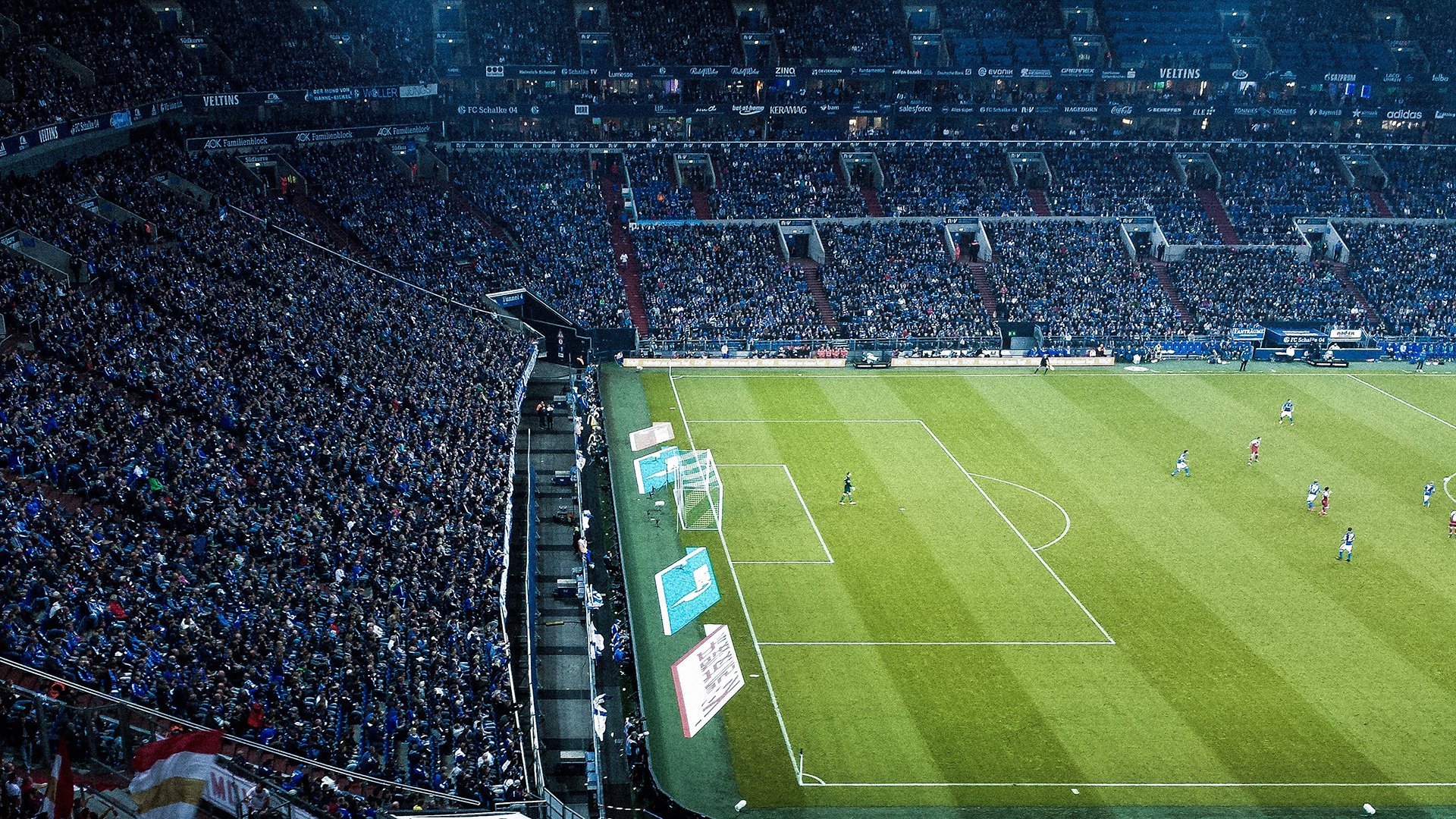 体育科普展览进校园传播科学运动理念，体育运动科普小知识