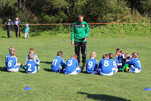 替补席能否发挥稳定战术执行能力影响赛季后期，替补席是什么意思